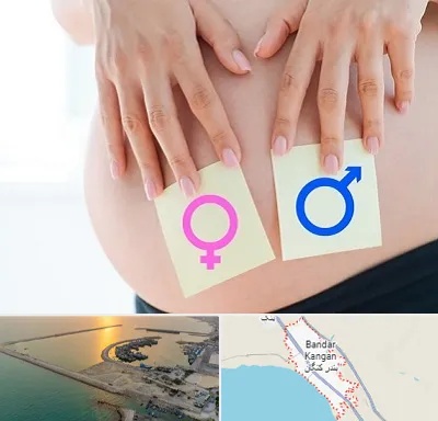کلینیک تعیین جنسیت در بندر کنگان