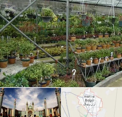 بازار گل و گیاه در آران و بیدگل