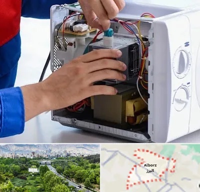 تعمیر مایکروفر در البرز