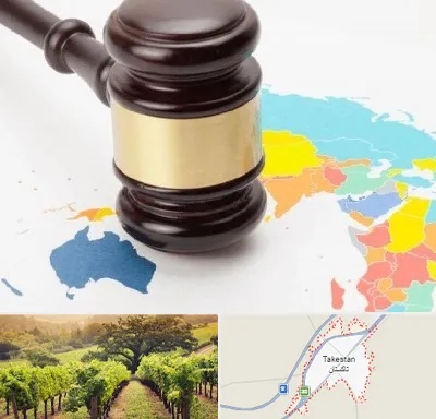 وکیل بین المللی در تاکستان
