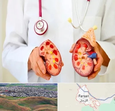دکتر سنگ کلیه در فارسان