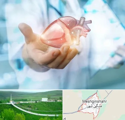 دکتر الکتروفیزیولوژی بالینی قلب در مشگین شهر