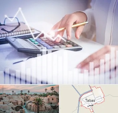 کارشناس مالیاتی در طبس