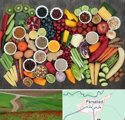 دکتر تغذیه برای چاقی در پارس آباد