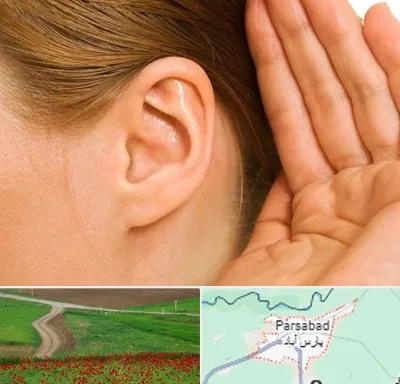 درمان وزوز گوش در پارس آباد