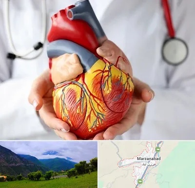 دکتر متخصص قلب و عروق در مرزن آباد