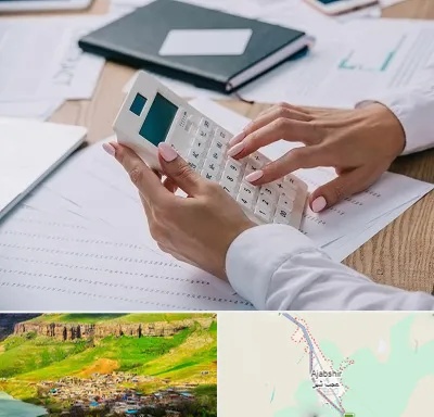 شرکت حسابرسی در عجب شیر