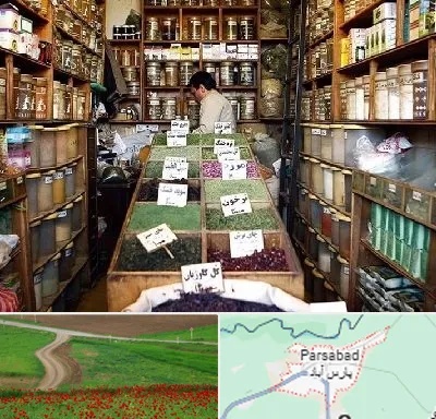 فروش دارو گیاهی در پارس آباد