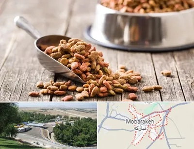 فروشگاه غذای حیوانات خانگی در مبارکه