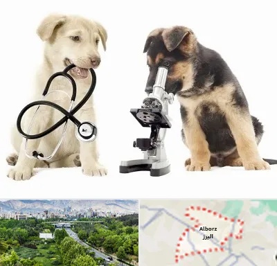 آزمایشگاه دامپزشکی در البرز