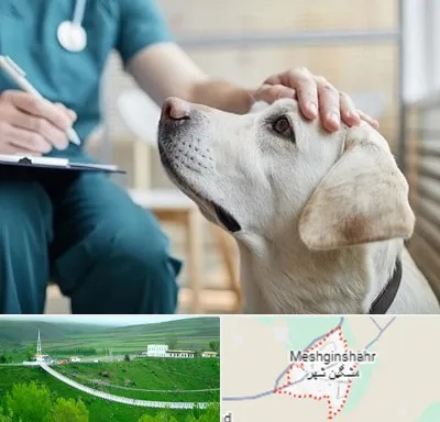 کلینیک دامپزشکی در مشگین شهر