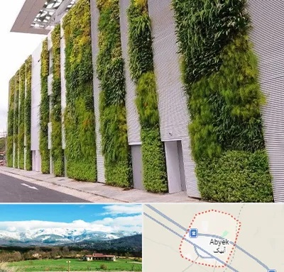 دیوار سبز در آبیک