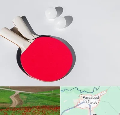 باشگاه پینگ پنگ در پارس آباد