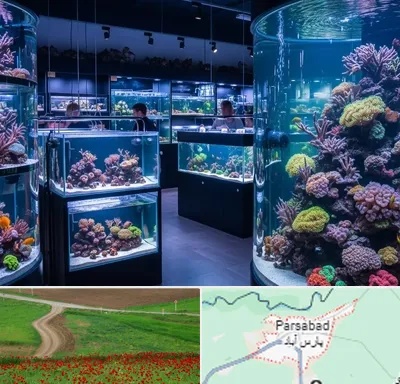 فروش اکواریوم در پارس آباد