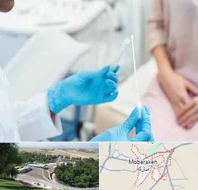 دکتر زگیل تناسلی HPV در مبارکه