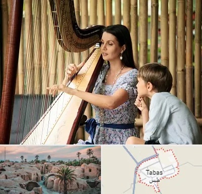 آموزشگاه چنگ در طبس