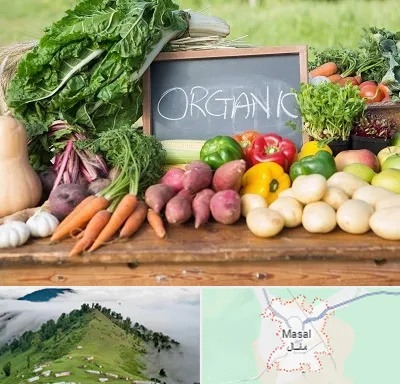 فروشگاه محصولات ارگانیک در ماسال