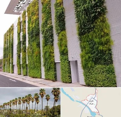 دیوار سبز در جیرفت