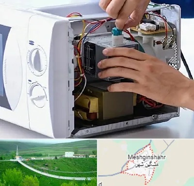 قطعات مایکروفر در مشگین شهر