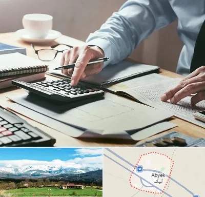 شرکت حسابداری در آبیک