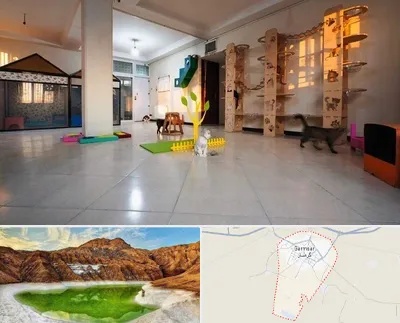 پانسیون گربه در گرمسار