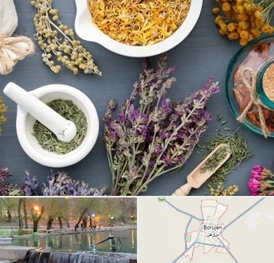 سم زدایی در بروجن