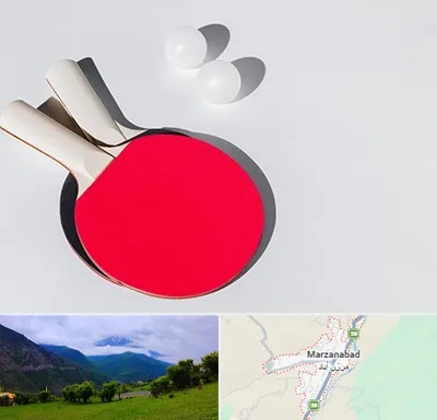 باشگاه پینگ پنگ در مرزن آباد
