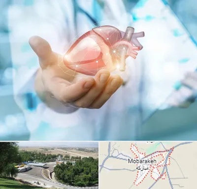 دکتر الکتروفیزیولوژی بالینی قلب در مبارکه