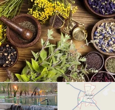 دکتر طب سنتی خانم در بروجن
