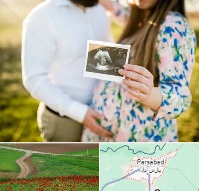 عکاسی بارداری در پارس آباد