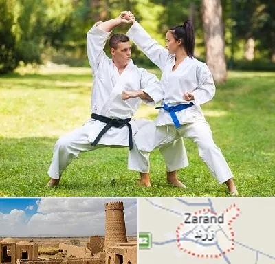 باشگاه هاپکیدو در زرند