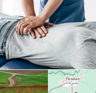 کایروپراکتیک در پارس آباد