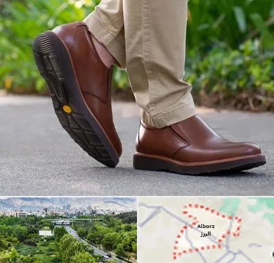 کفش طبی مردانه در البرز