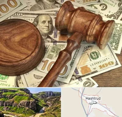 وکیل امور مالی در هشترود