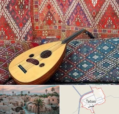 آموزشگاه ساز عود در طبس