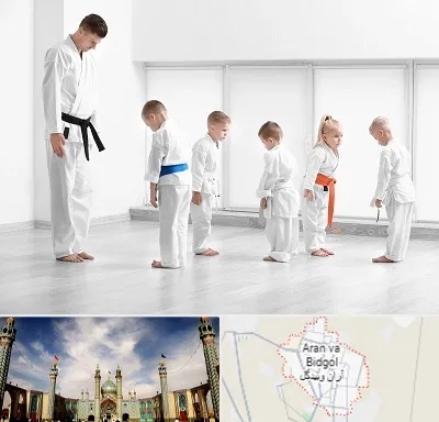 مربی کاراته در آران و بیدگل