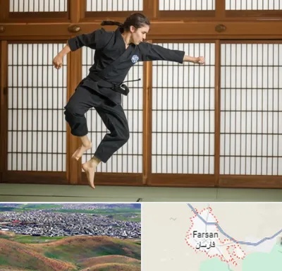 باشگاه نینجا در فارسان