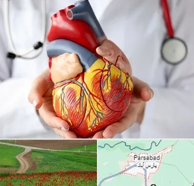 دکتر متخصص قلب و عروق در پارس آباد