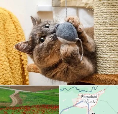 خرید اسباب بازی گربه در پارس آباد