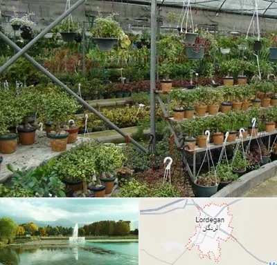 بازار گل و گیاه در لردگان