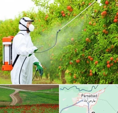 سمپاشی درختان در پارس آباد