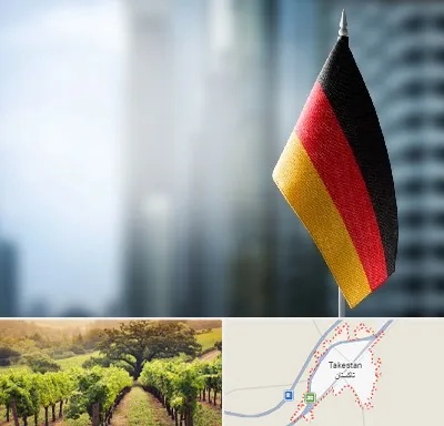 وکیل مهاجرت به آلمان در تاکستان