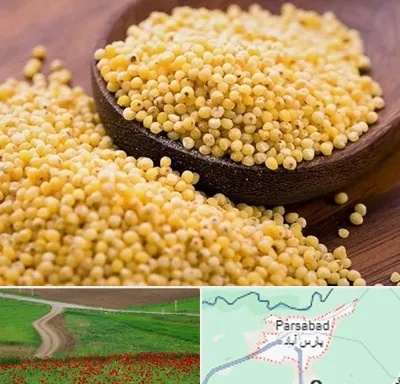 فروش ارزن در پارس آباد
