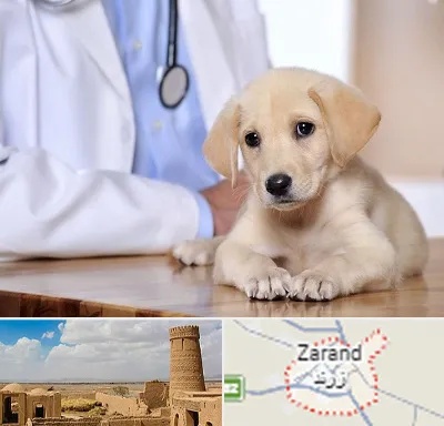 بیمارستان دامپزشکی در زرند