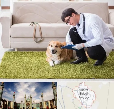 دامپزشکی در منزل در آران و بیدگل