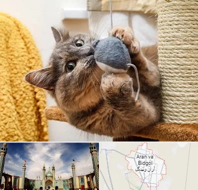خرید اسباب بازی گربه در آران و بیدگل