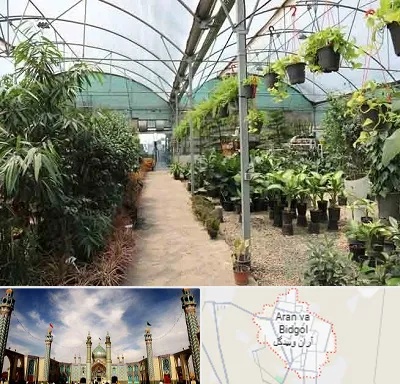 مرکز فروش گل و گیاه در آران و بیدگل