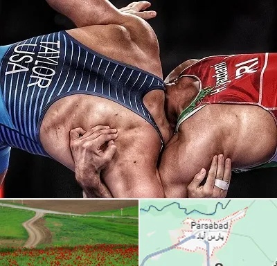 باشگاه کشتی در پارس آباد