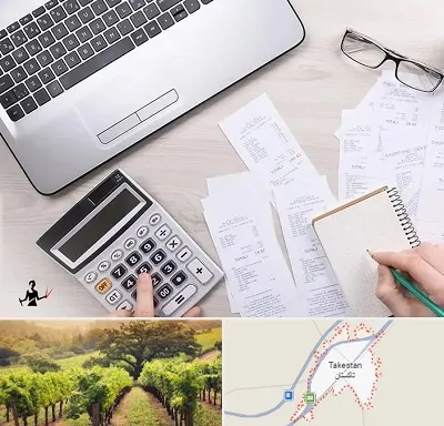 خدمات مالی و مالیاتی در تاکستان