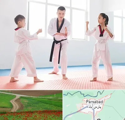 مربی رزمی در پارس آباد